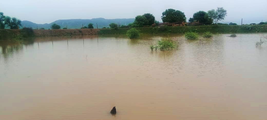 Water conservation work image 2
